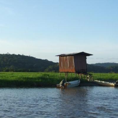 Baraque sur verdure