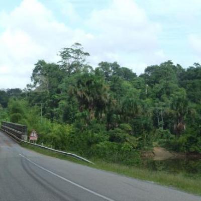 Route de l'est